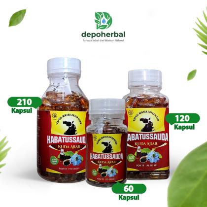 Habbatussauda cap Kuda Arab, Kapsul Minyak Habbatussauda Habasyi